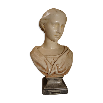 Waxed plaster woman bust