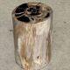 Multicoloured petrified wood side table H45 D24 - 3328
