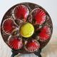 Earthenware oyster plate