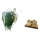 Bedside lamp