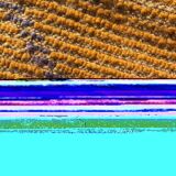 Carpet berbere M'rirt 220x310 cm
