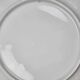 Set of 4 vintage Limoges porcelain oyster plates from France