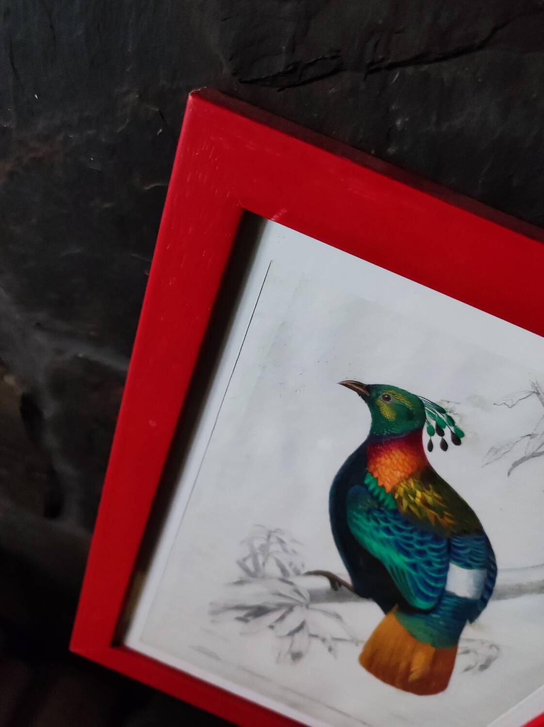 Color lithograph, Gallinaceous, JC Fournier