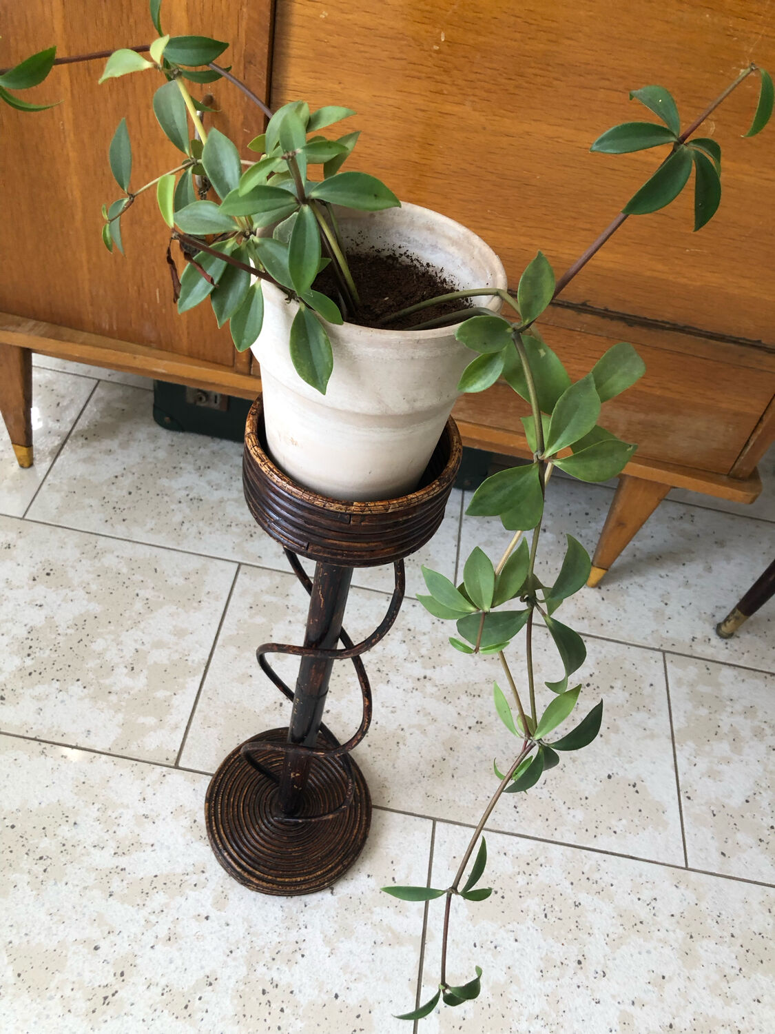 Plant holder in wicker vintage