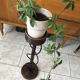 Plant holder in wicker vintage