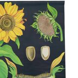 Large Vintage School Card Sunflower Jung Koch Quentell 117cm