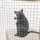 "Seven Rats" lamp by Ingo Maurer 2007