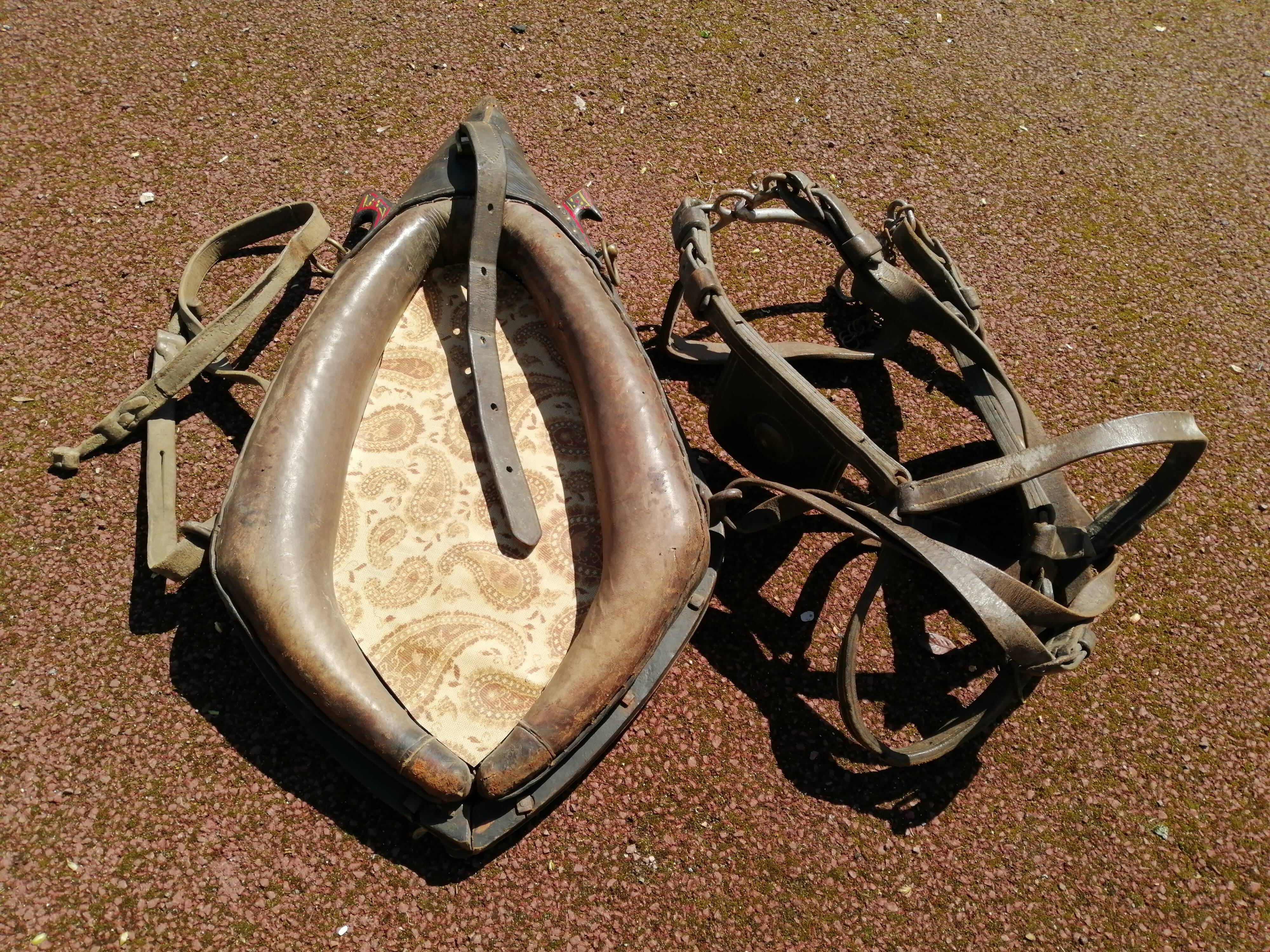 Mirror horse necklace 86x46cm