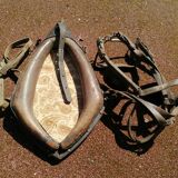 Miroir collier de cheval 86x46cm