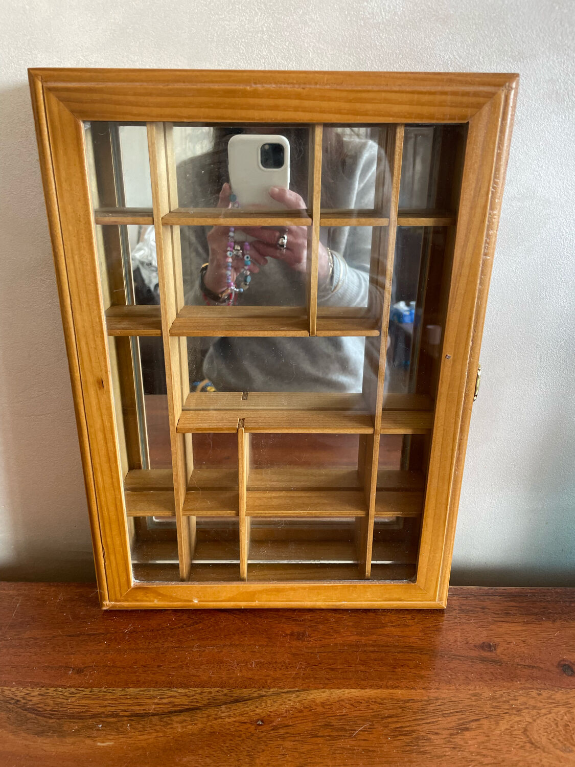 Wall display case for miniatures