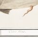Small poster on the “male sperm whale”, after an old engraving