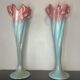 Paire de grands vases art nouveau