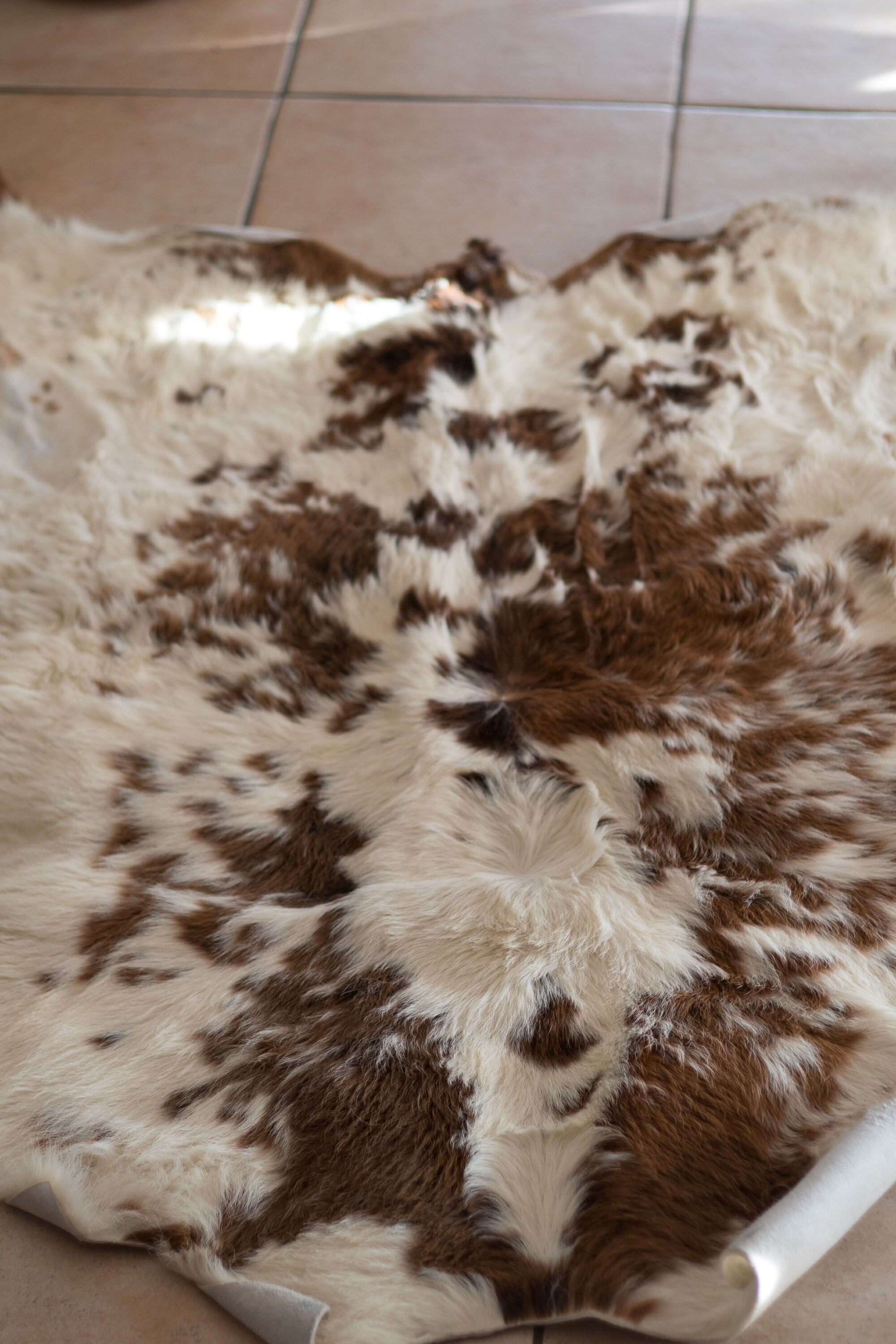 Tanned Norman calf skin