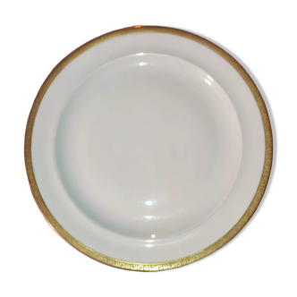 Plates bernardaud model style palmyra