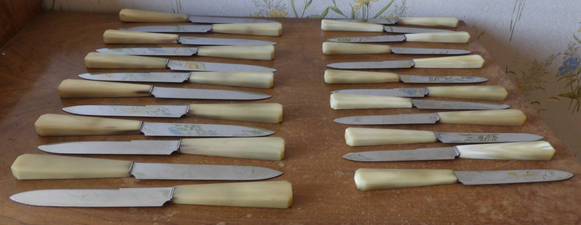 Boite de 24 couteaux