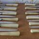 Box of 24 knives