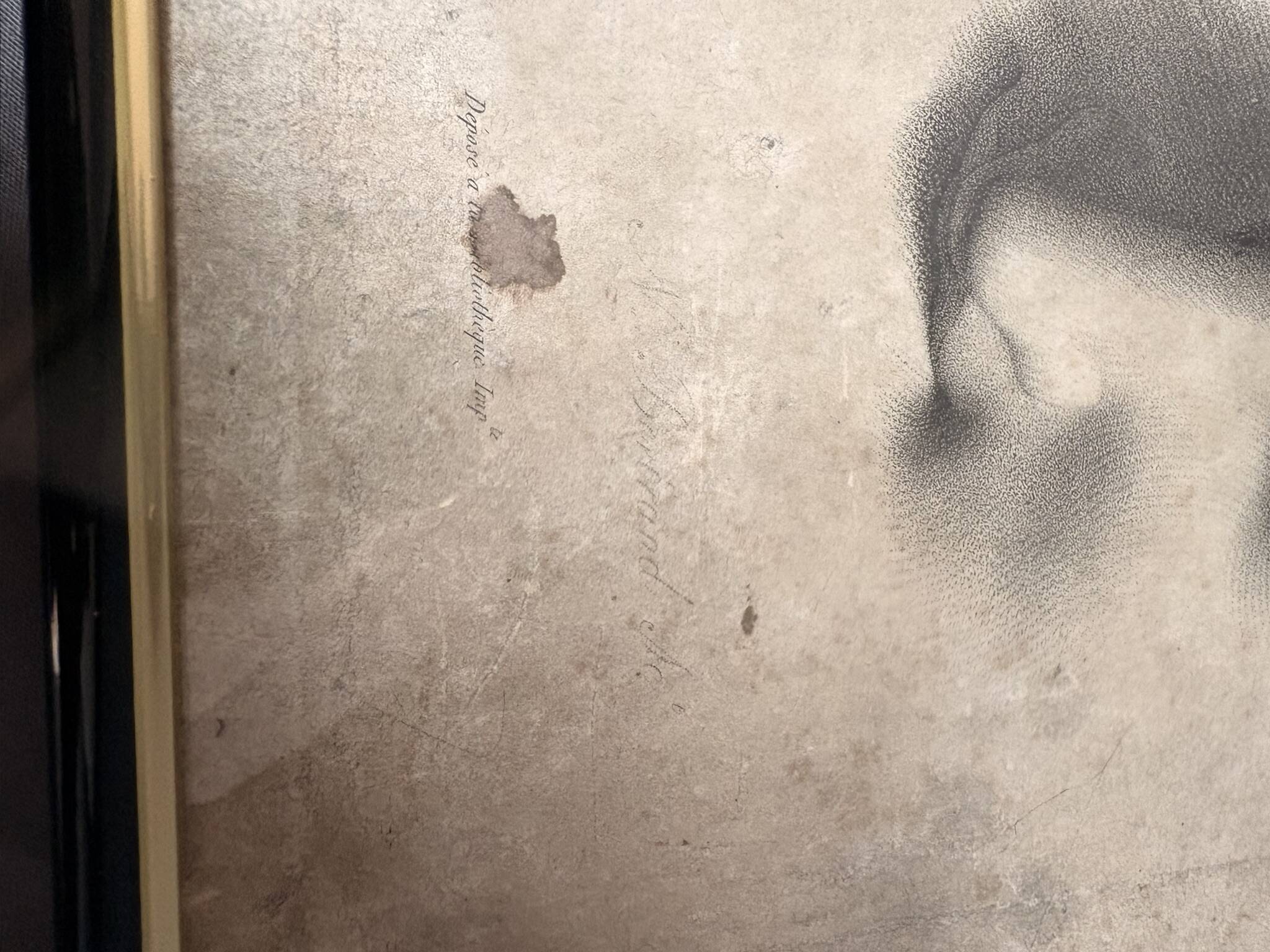 Old Print Engraving 19th Century Shadowed Notebook Nose - Bertrand Reverdin Coindet