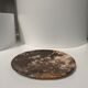 Dish in petrified wood