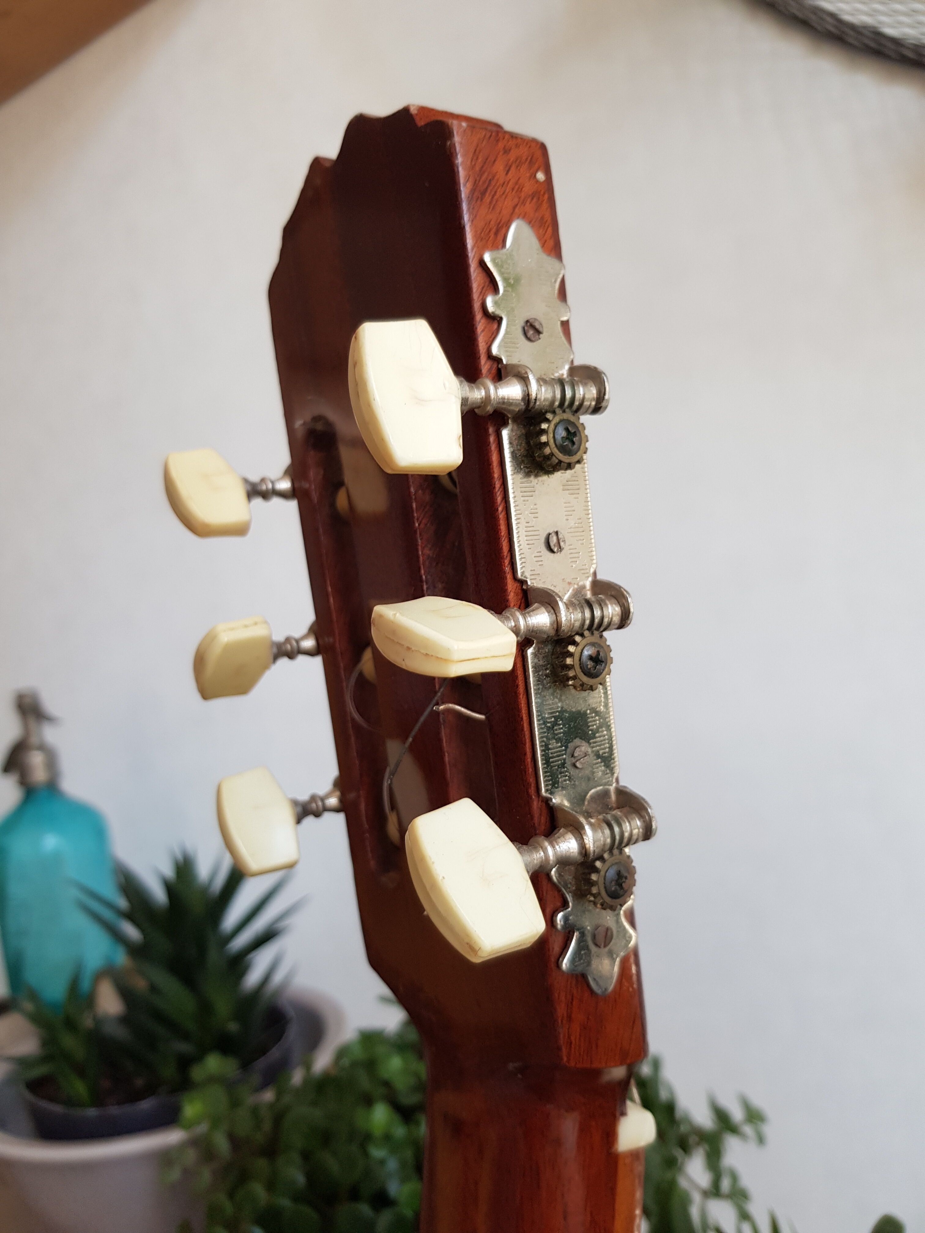 Vintage guitar raimundo