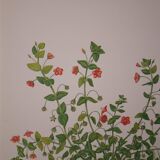 Botanical board Mouron des champs