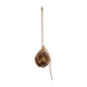 Float lamp