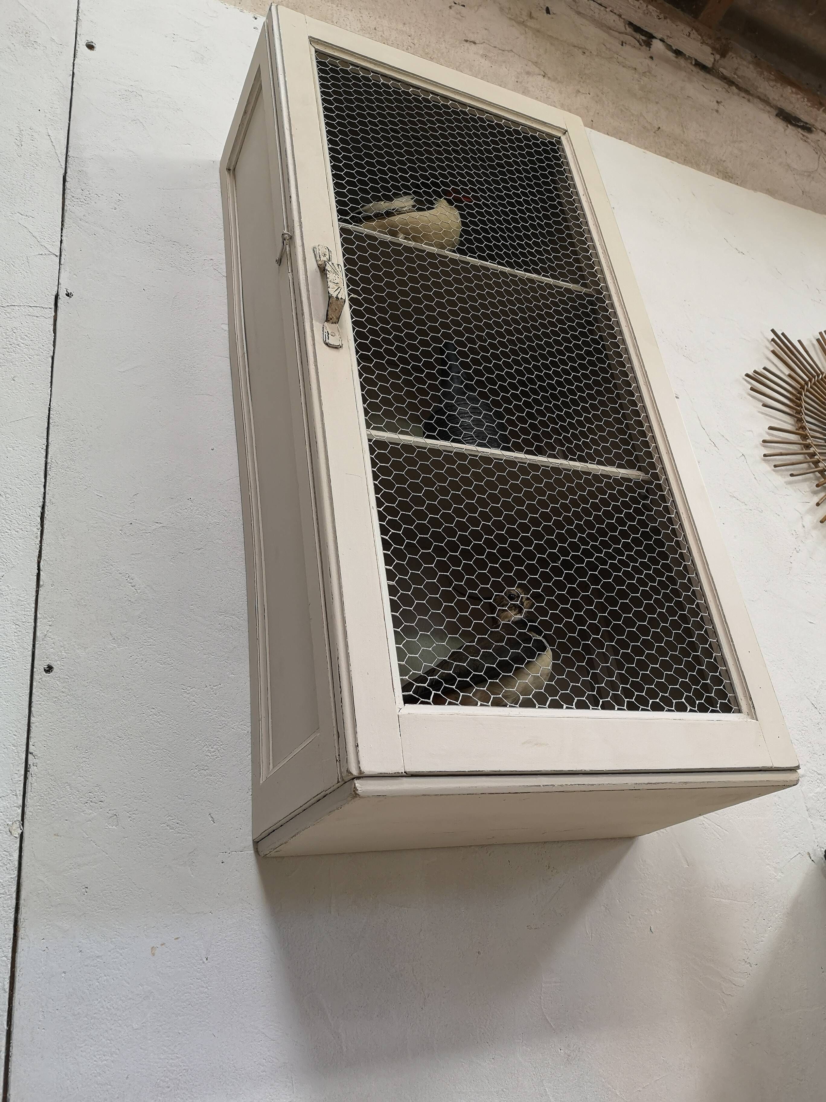 Vitrine murale patine
