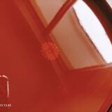 Red lacquer tray