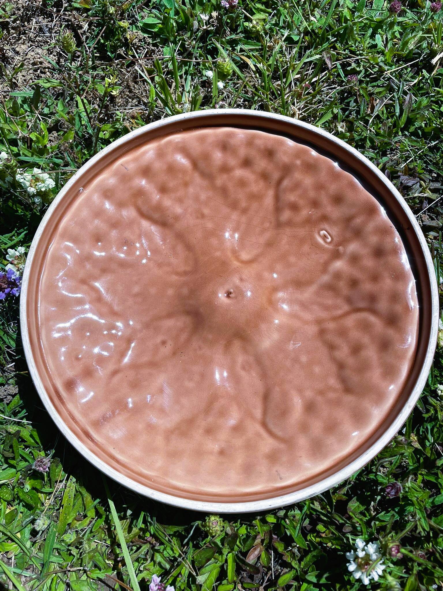Illusion pie dish blueberry pie