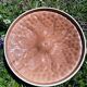 Illusion pie dish blueberry pie