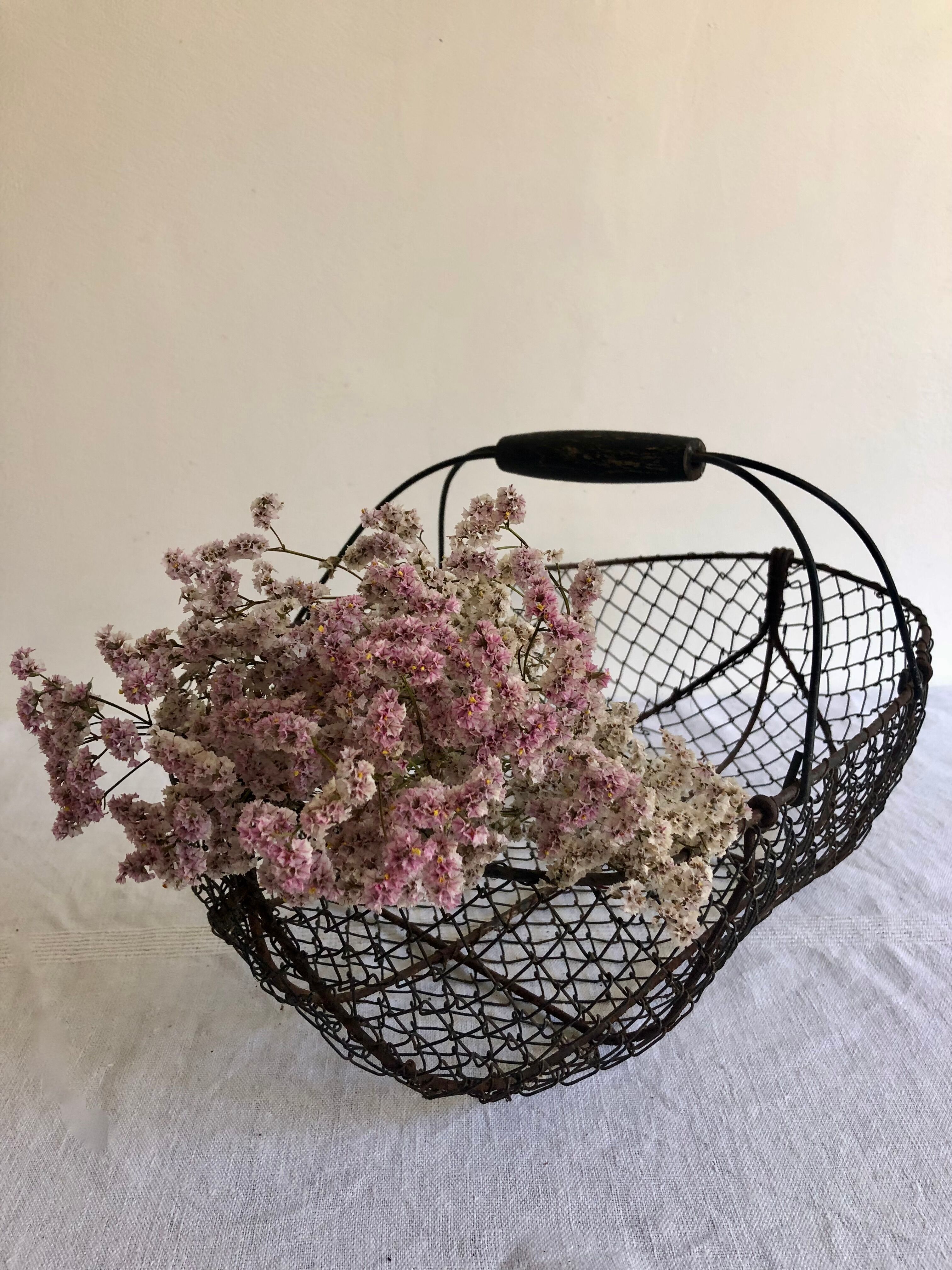 Garden basket, wire mesh