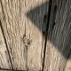 Porte, volet en bois