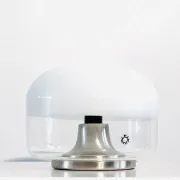 Medusa Table Lamp By Roberto Pamio For Leucos, Italy, 1970S