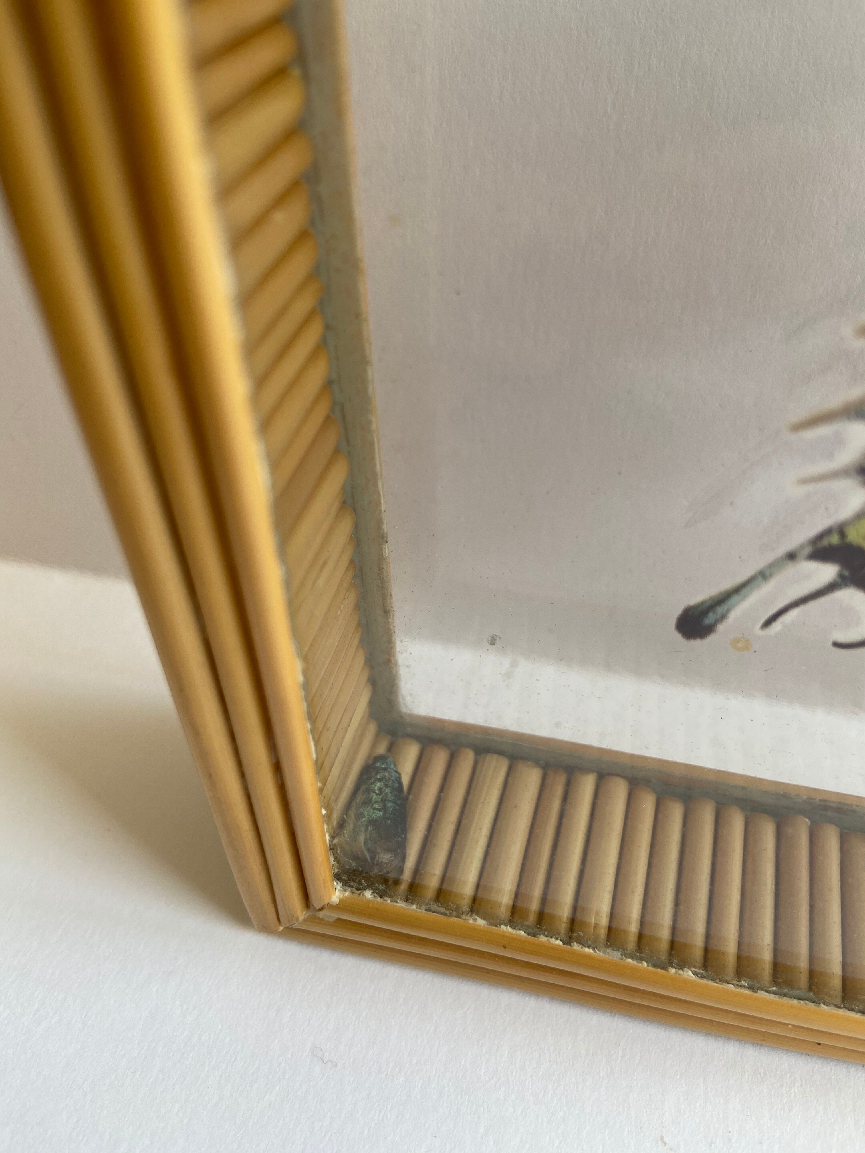 Naturalized framed butterfly