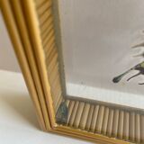 Naturalized framed butterfly