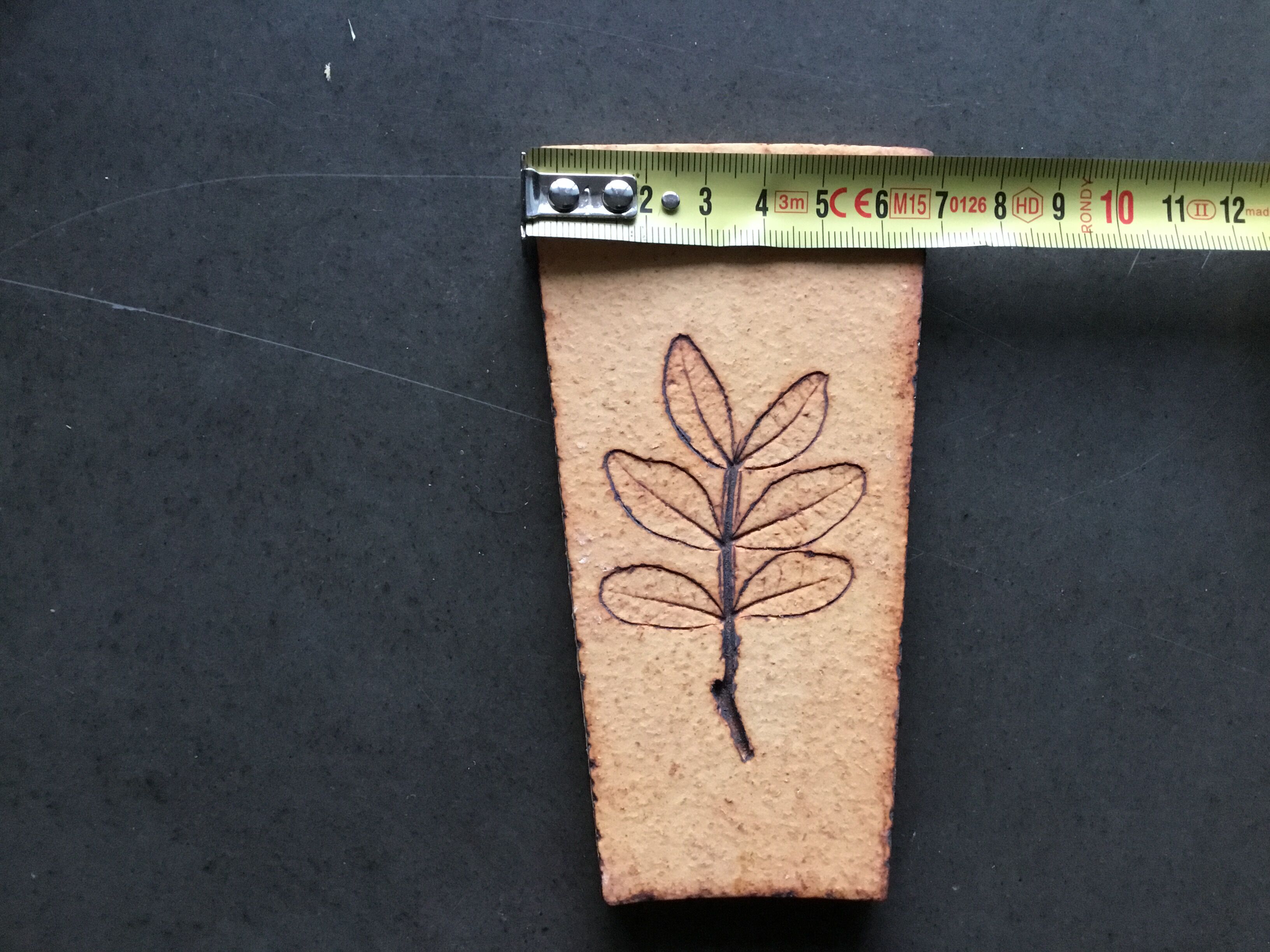 Carreaux herbier Roger Capron