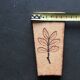 Carreaux herbier Roger Capron