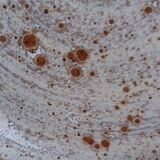 Sandstone plateau of Puisaye, Jean-Pierre Prud’homme