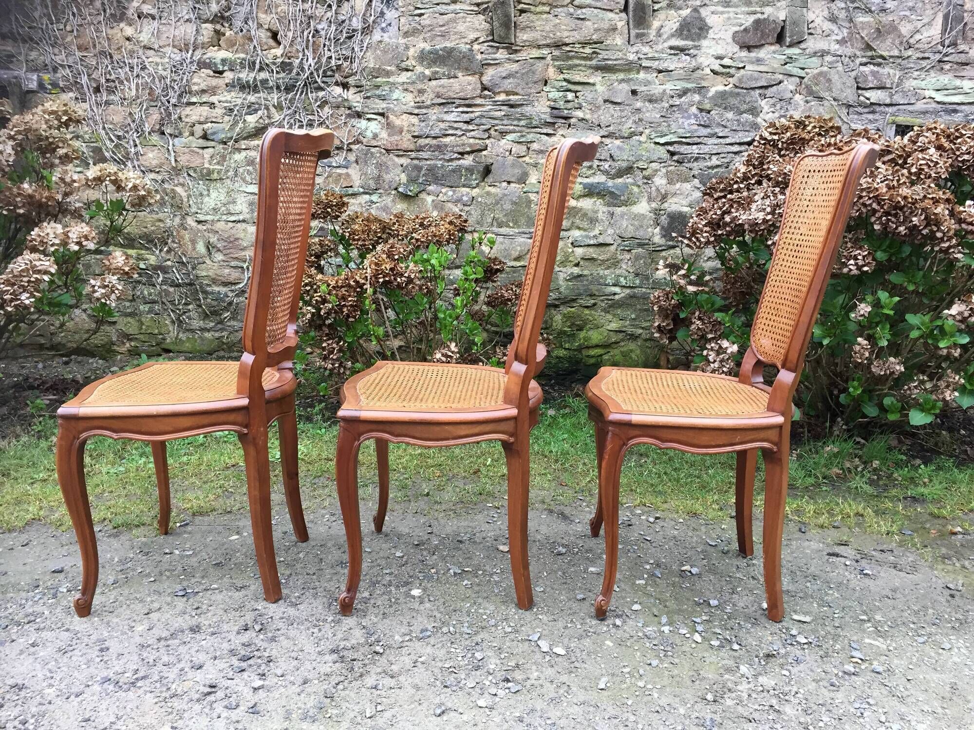 Vintage regency cherry chairs with canned backrests and seats