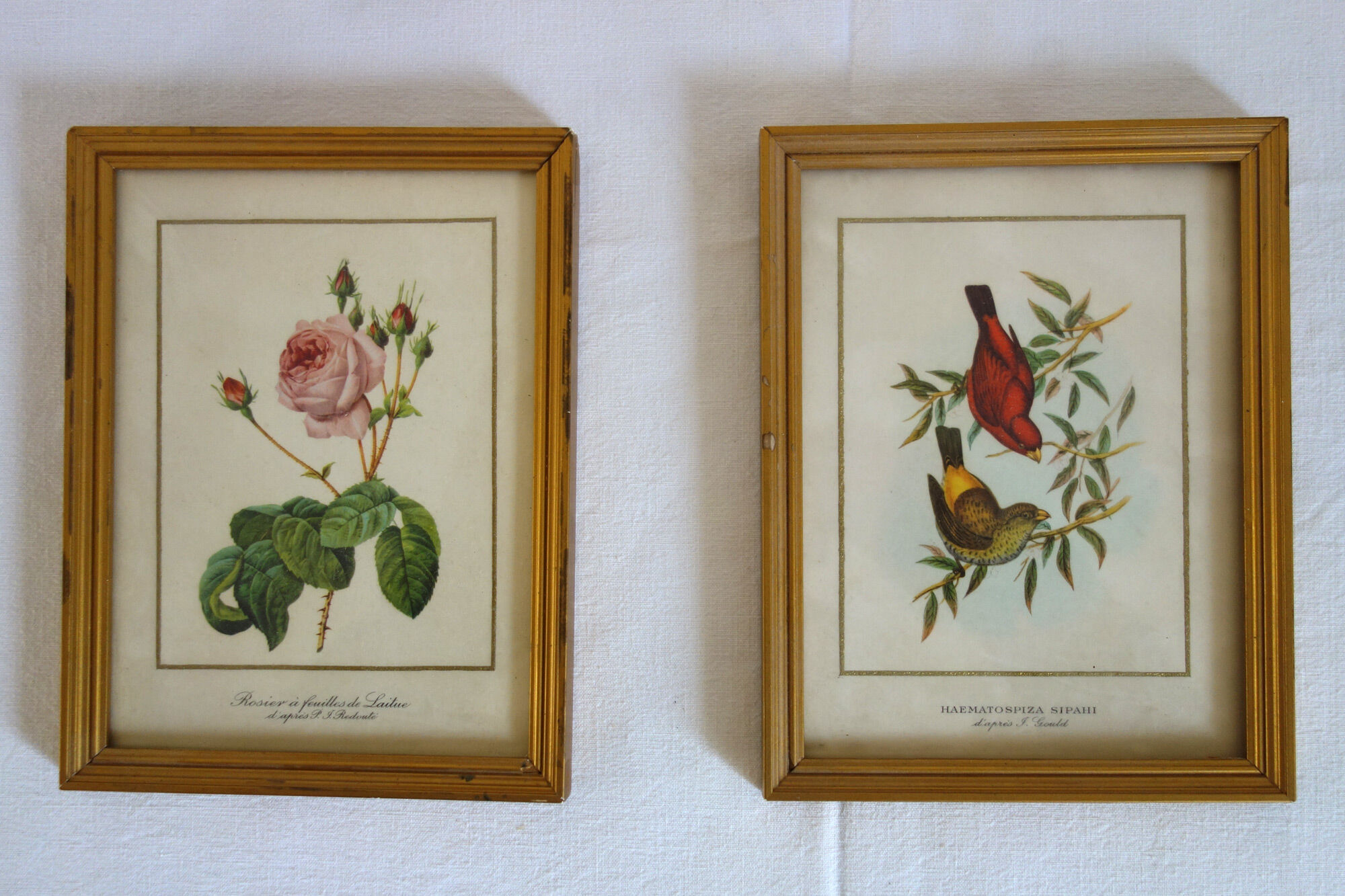 Pair of vintage boards under frame