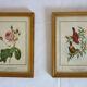 Pair of vintage boards under frame