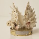 Shell Chama Lazarus.