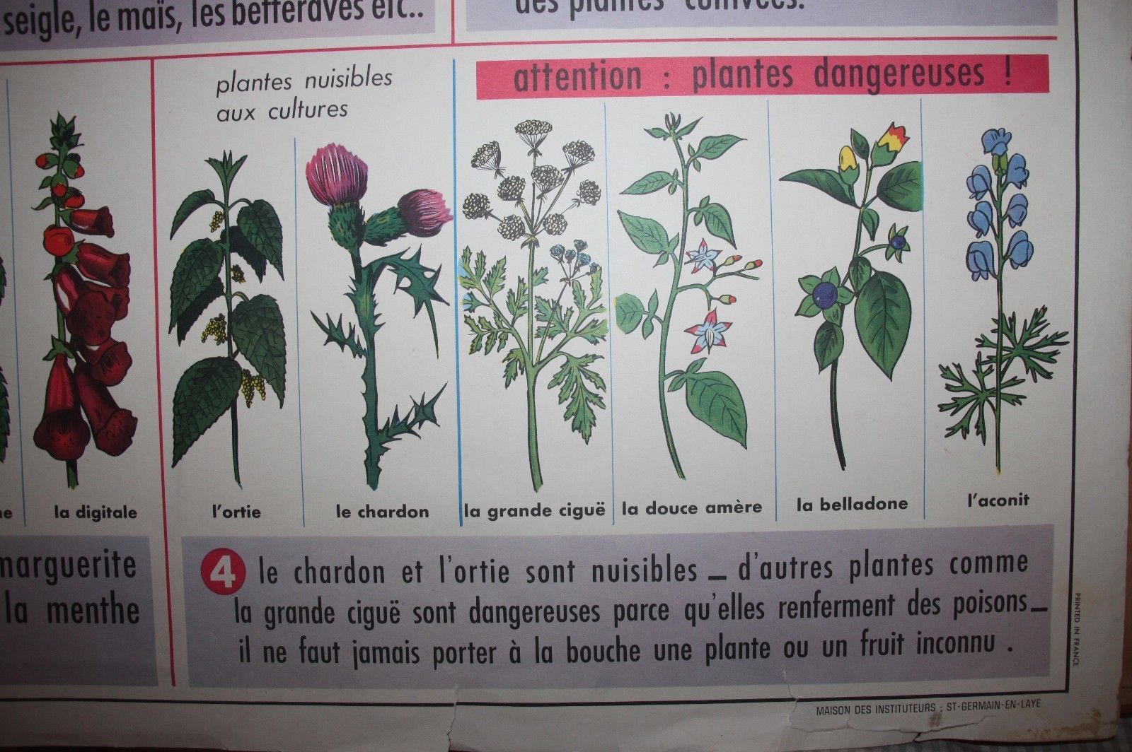 Poster school vintage MDI in the fields and garden 47 and 48