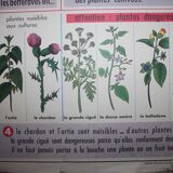 Poster school vintage MDI in the fields and garden 47 and 48