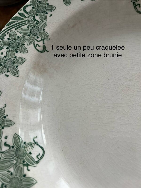 Set de 10 assiettes « Prunelle » Boch La Louvière