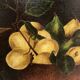Framed paint with peaches, pears and pheasants
