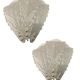 Large Murano Glass Sconces
