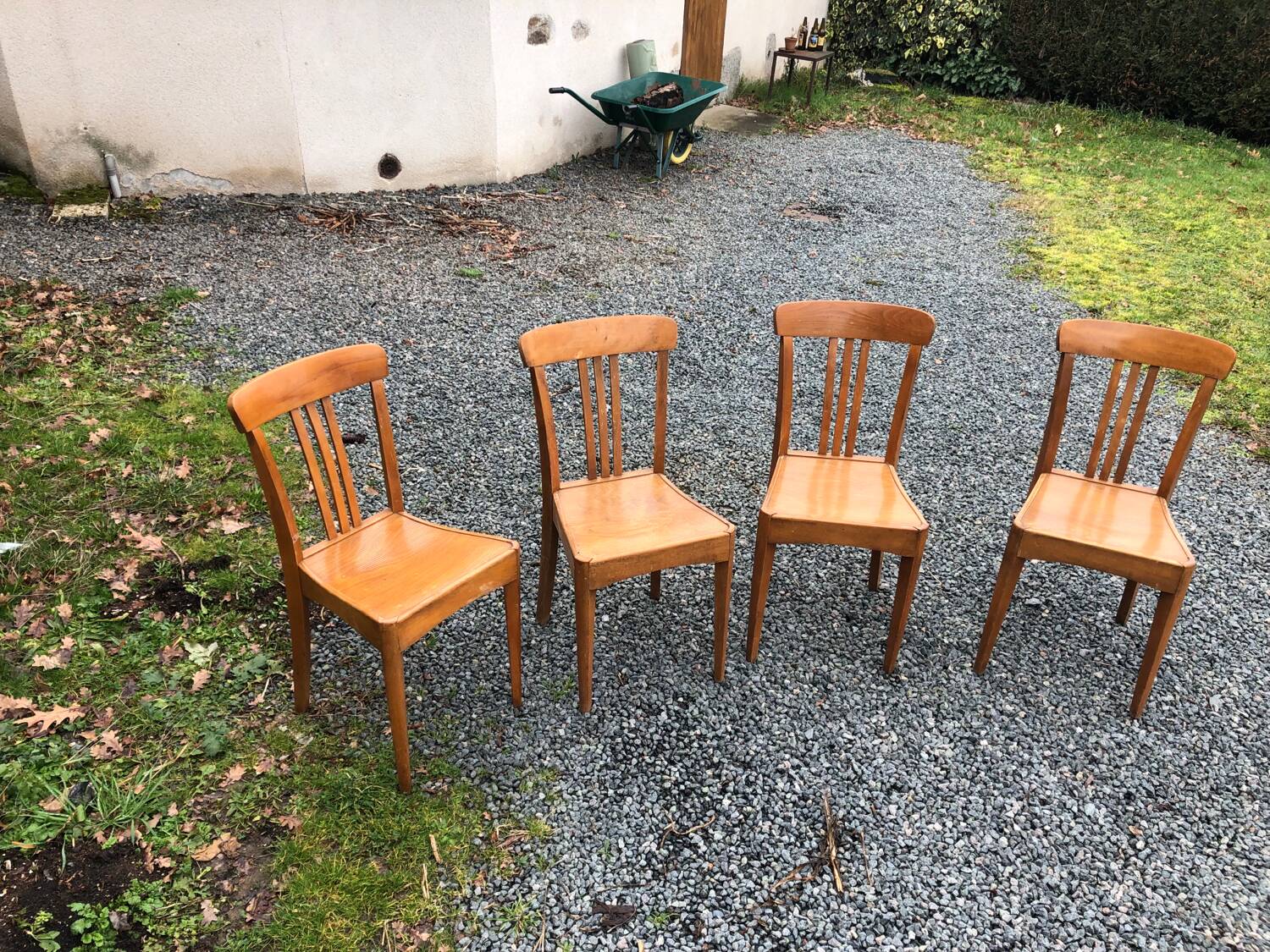 Stella chairs