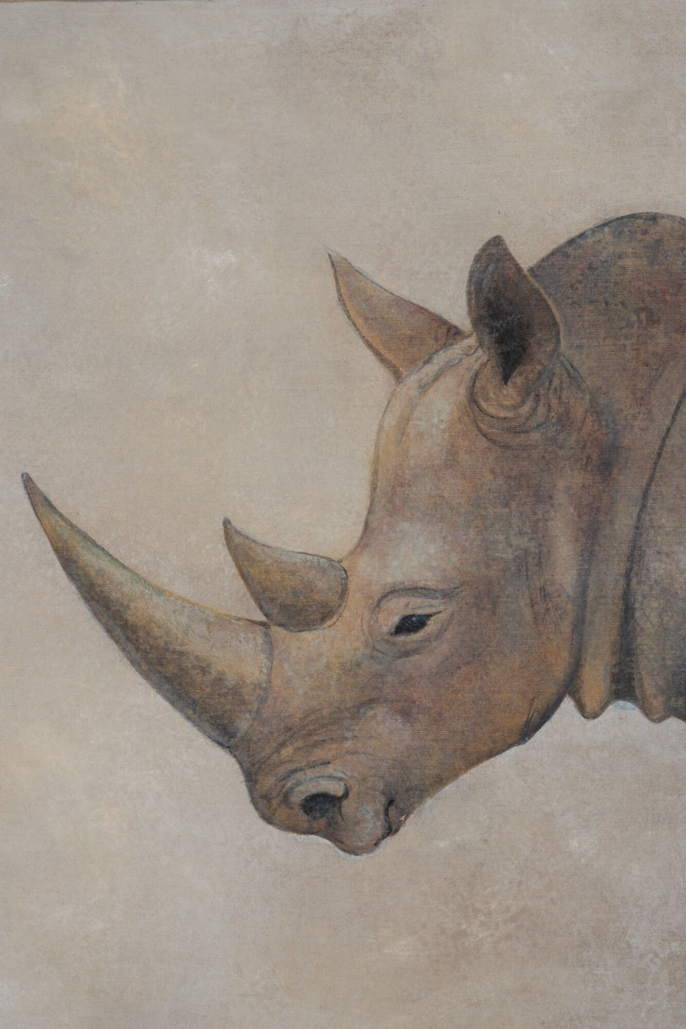 Painted canvas, Rhinoceros, Contemporary work