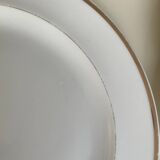 Limoges porcelain plates