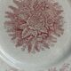 2 anciennes assiettes plates à fleurs rose poinçonner terre de fer hamage st amand "jardinière"